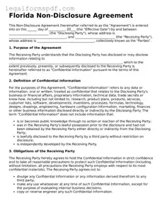 Fillable  Non-disclosure Agreement Document for Florida